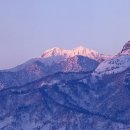 산에사네 이미지