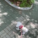2025.05 먼슬리 1탄