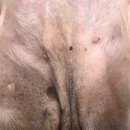 성지동물병원 이미지