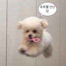 북치기박치기 노래연습장 | [일상] 8월을 낋여왔습니다. 알바를 곁들인