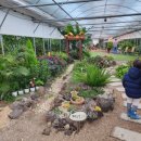 세동2통경로당 이미지