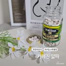 알파약국 | 일본쇼핑리스트 카베진알파 가격 상비약 국내 약국이 더 저렴해요