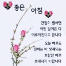 자재병원 이미지