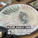포항 횟집 추천 장성동 '숙이네수산' 모듬회에 소맥 한잔