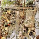 메이 (May) | 하노이 핫플 카페 그릇쇼핑 MAY KITCHENWARE 후기 (메이키친웨어)