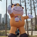 소로3-29 | 제2회 김해한우축제 방문후기(주차꿀팁, 일정)