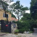 데파인유 이미지