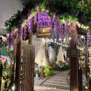 다낭 카페 에그커피 맛집 비 가든 커피 B garden coffee