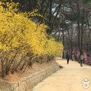 정릉80 Daum카페
