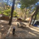 용이동 바다공원 | [월악산닷돈재야영장] 닷돈재자동차야영장 C사이트 가을캠핑기록