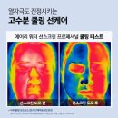 365별빛약국 | 펠드아포테케 선스크린, 수면팩, 엑포린 대나무마스크 오픈