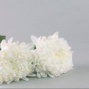 서부산유통단지로 이미지