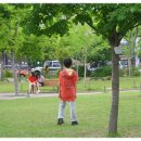 대현어린이공원 이미지