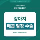 포레온 동물병원 이미지