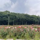 노적봉화장실 이미지