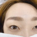 리스속눈썹