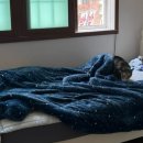 상대동 공영자전거무료대여소 이미지