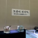 거북이 타코야끼 | 송도 컨벤시아 제2회 관상어 파충류 박람회 후기 총정리