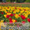 문창시장 주차장 개방화장실 | 부산 북구 화명생태공원 튤립단지 p1주차장 실시간 후기 가볼만한 곳