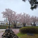 어반스케치(야) | 이전커피, 벚꽃 직관 가능한 신동카페거리 (퇴근벙)