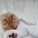 맡겨보개 이미지