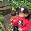 벧엘농장3 이미지