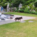 25세 동물병원 이미지