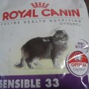 쥬쥬동물병원 이미지