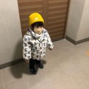 샤니덴탈 | 킨즈 아이랑 컬러 마스크 새부리형 내돈내산 사용후기