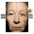 (주)렌탈포유 | 곧 있을 폭염과 장마 대처법 알려드림 자외선차단 되는 튼튼한 우산 추천