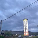 황성숯불뒷고기 | 이제는 시댁이 된 경주🏡 (폴콘, 또간집 승진식당, 빼돌린뒷고기 솔직한 후기..🤔)