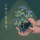 안양대학교 글로벌대학원 이미지