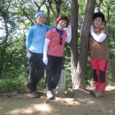 성골목장 이미지