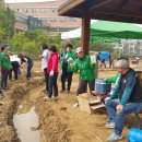 김화자농장 이미지