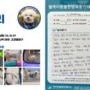 웰케어 동물건강검진센터·동물한방재활센터 이미지