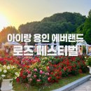 수만카써비스 | 에버랜드 아이랑 🌹 장미축제부터 문라이트 퍼레이드까지 즐긴 후기
