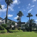 남원읍-74 이미지