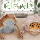 제일퀵 이미지