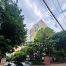 압구정-205 이미지