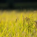 놀이문화공동체 이미지