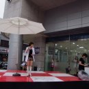 홍명 Daum카페
