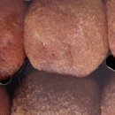 장성농장 이미지