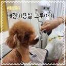 그루아미 이미지