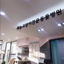 태능동물병원 네이버블로그
