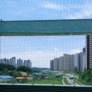 국가대표 태권메이커 태권도장 이미지