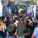 진안홍삼 이미지