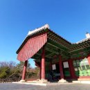 서오릉산책