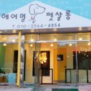 헤어멍펫살롱 네이버블로그
