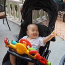 샘골오리농장 | 10개월 아기 그리고 우리가족 일상