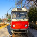 주식회사 밝은눈 | 풍경사진에는 미러러스 카메라 렌즈 캐논 RF24mm F1.4 L VCM